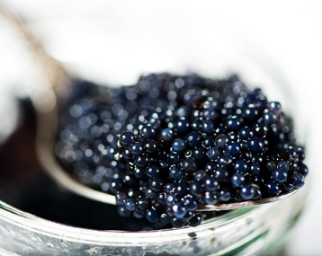 Une bonne dégustation de Caviar