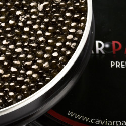 Caviar Premium Selection
