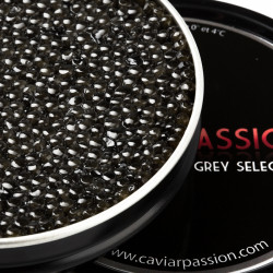 Caviar Grey Selection
