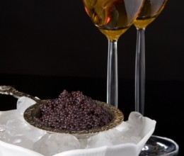 Eating Caviar - Magazine