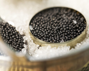 Prix du Caviar: Combien coûte le Kilo de Caviar ?