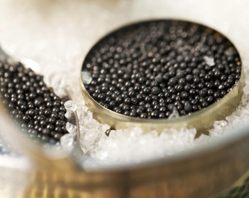 THE PRICE OF CAVIAR