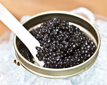 Guide du Caviar: Esturgeon, Origine, Fabrication, Dégustation