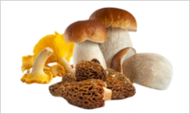 Champignons